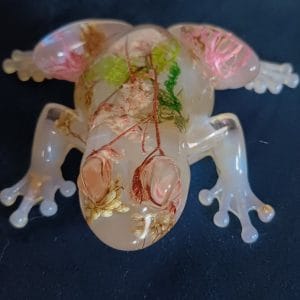 grenouille variation2